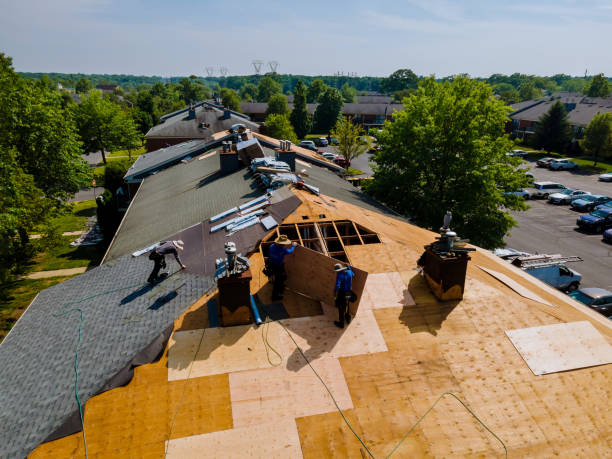 Trusted Storm Damage Roof Repair service in Scipio, UT - Brentwood Metal Roofing